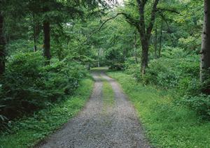 心身ともに健康に過ごすのが理想です
