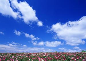 2025年最新！ホテルマーケティングの成功戦略と効果的な対策方法